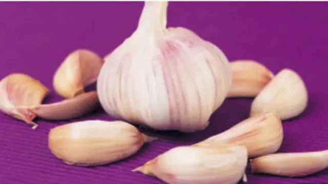 लहसुन