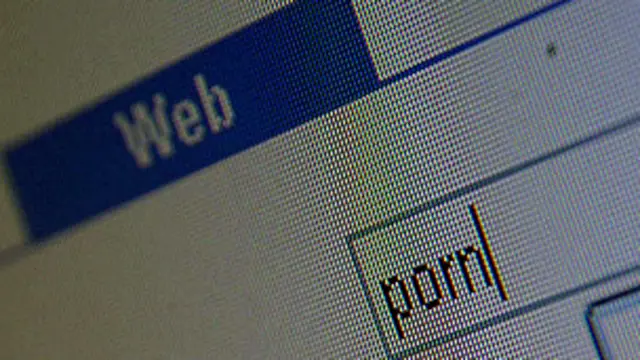 कुछ पोर्न वेबसाइटों के उपयोगकर्ता बीबीसी की वेबसाइट से भी अधिक है.