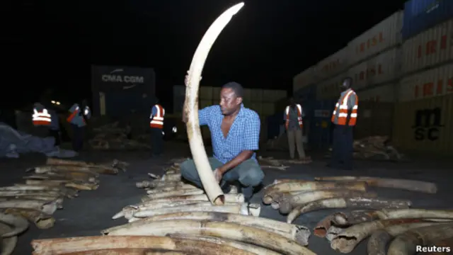 Gading gajah yang disita di Kenya