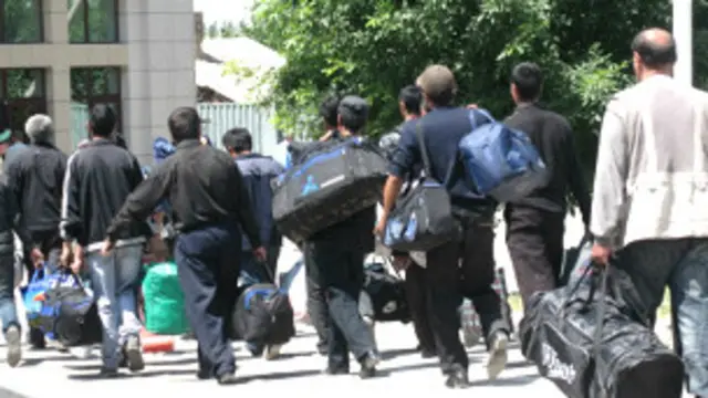 Porno rangli qalam va malina