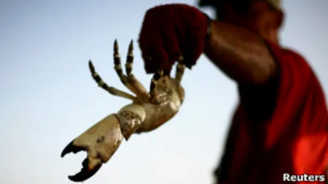 Рыбак с крабом