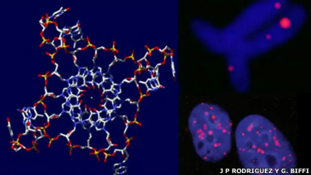 Hélice cuadrúple de ADN