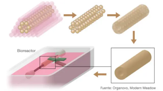 Modelo de la impresora de carne