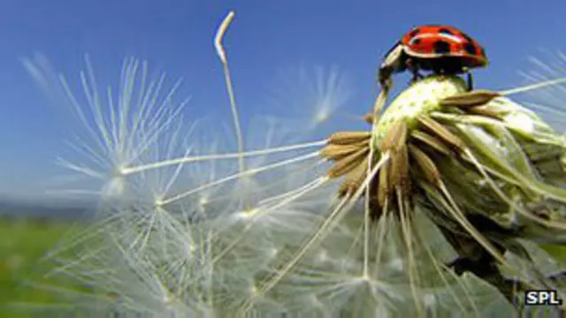 जैविक प्रयोगों के साथ खतरे भी जुड़े हुए हैं