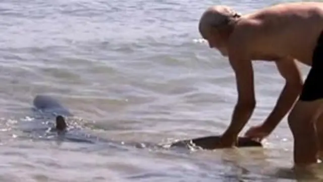 पॉल मार्शलसी 