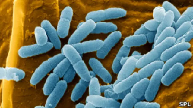 Бактериальная инфекция