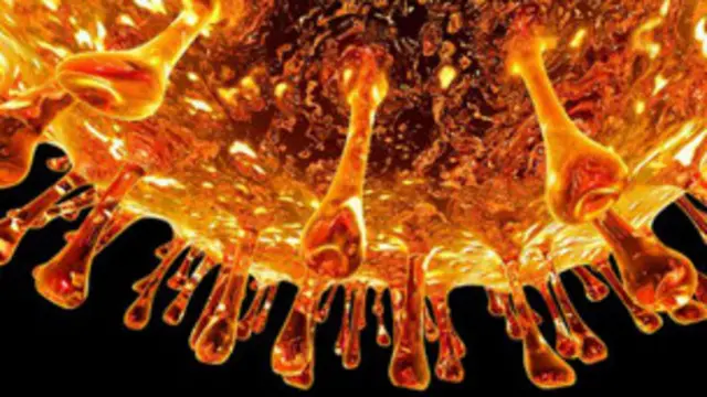 स्वाइन फ्लू एच1 एन1 वायरस से फैलता है