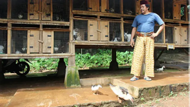 Agar upaya konservasi Sungai Pesanggrahan dapat terus berjalan, Bang Idin dan rekan-rekannya membuka usaha secara mandiri, seperti membuka peternakan kelinci.