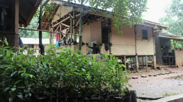 Dari rumah miliknya yang terbuat dari bambu dan kayu inilah, Bang Idin mengaku banyak belajar dari alam dan masyarakat.