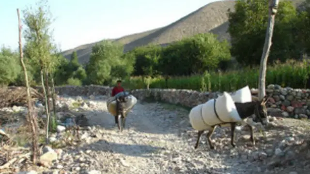 Сўхликлар уларни тинглайдиган ҳеч ким йўқлигини айтишади