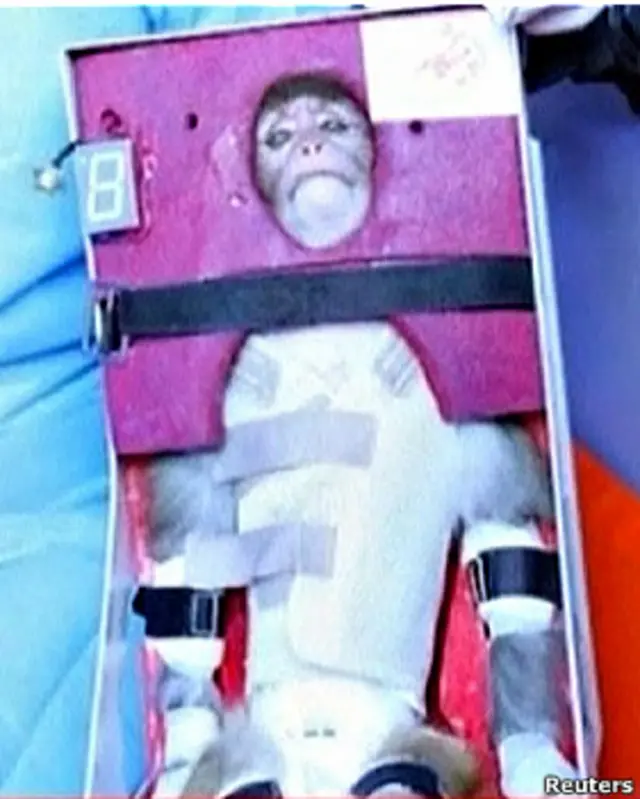 ایران یک میمون را به فضا فرستاد