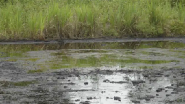 تسرب النفط يهدد البيئة