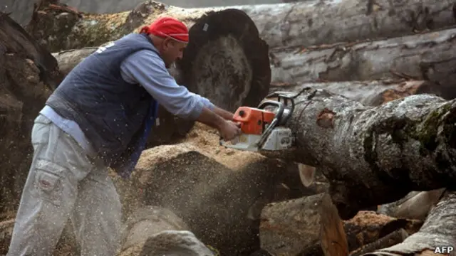 Tala de árboles en Grecia