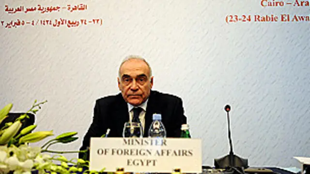 وزير خارجية مصر