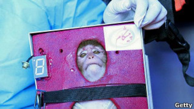 Irán invita a EE.UU. a entrevistar a su mono astronauta - RT