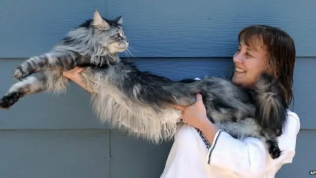 Stewie dan pemiliknya Robin Hendrickson