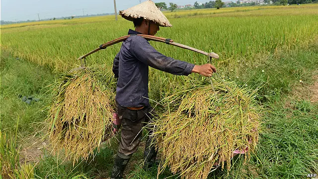 Từ một nước nông nghiệp, liệu Việt Nam có thể tăng trưởng kinh tế nhờ công nghệ cao?