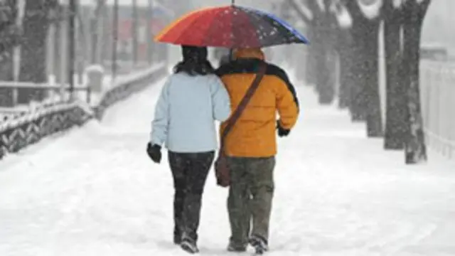 किराये पर ब्वॉयफ्रेंड के विज्ञापनों को काफी उत्साहजनक प्रतिक्रियाएं मिल रही हैं