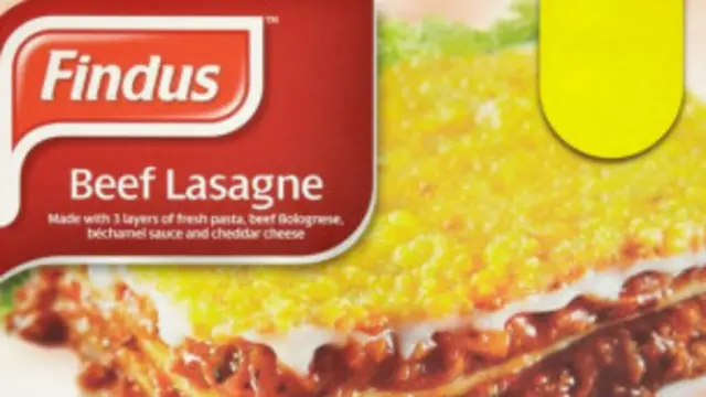 findus lasagna