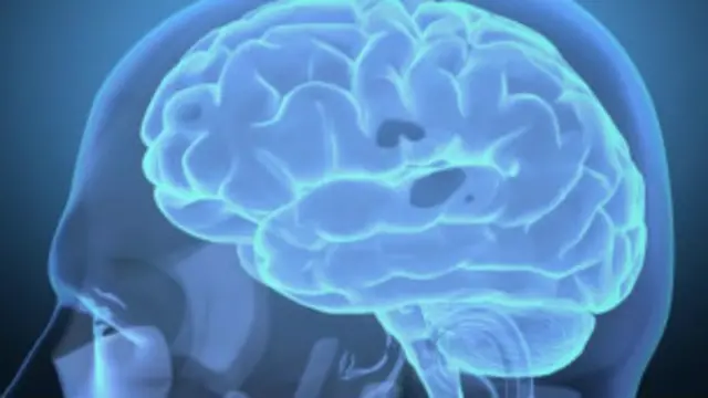 ډاکټره نیډیر ګارډ زیاتوي چې د ذهن مینځلو دغه عملیه د ماغزو د فعالیت ډېرېدو لپاره حیاتي بڼه لري، چې په ويښ والي کې دا کار ناممکن دی.