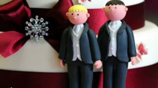 समलैंगिक शादियों का विरोध