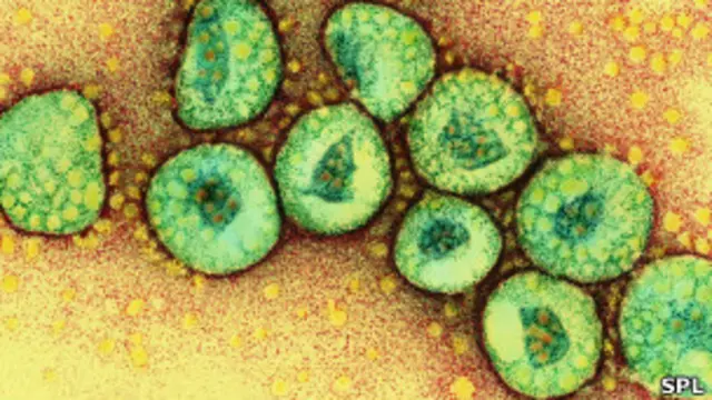 Коронавирус