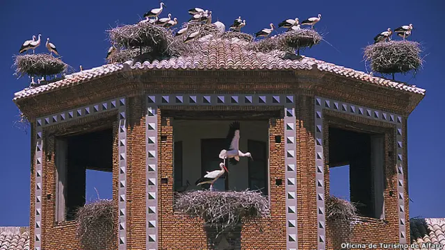 Cigüeñas en Alfaro, La Rioja, España.