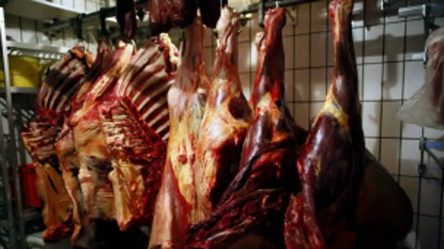 घोड़े का मांस