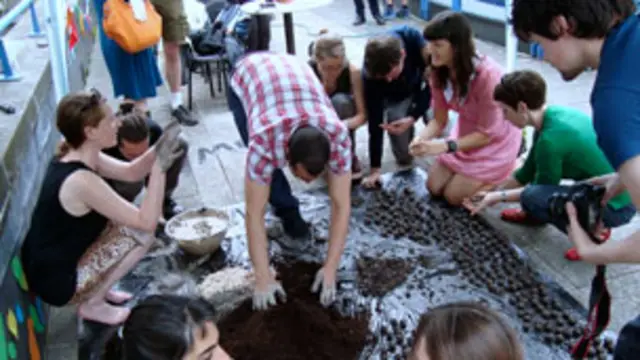 Creando las bombas de semillas