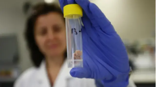 مزاعم بوجود مؤامرة في القضية