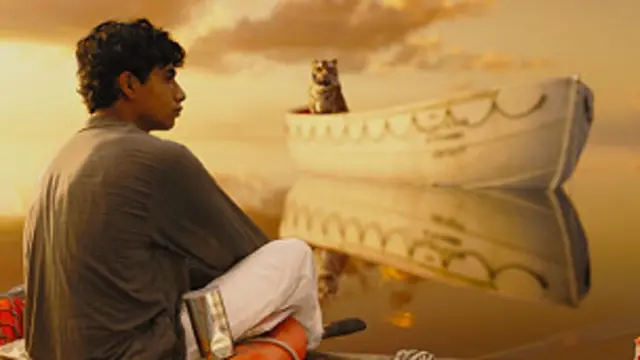 लाइफ ऑफ पाई को 11 वर्गों में नामांकन मिला है.