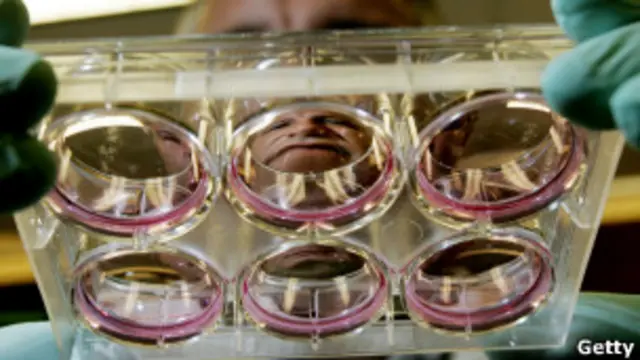 Научная лаборатория