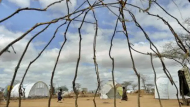 Provinsi Timur Laut, Kenya