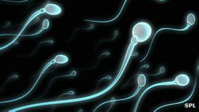 У мужчин заканчиваются сперматозоиды?