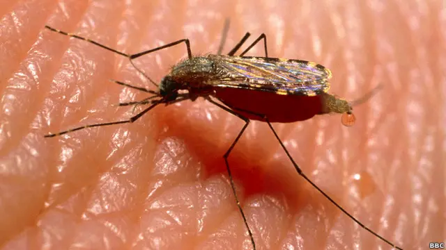 मच्छर, मलेरिया, रसायन, त्वचा