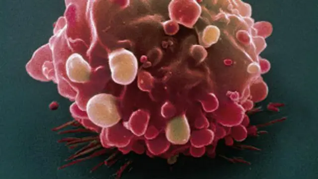 الخلط للتمويه على العقارات الطبية