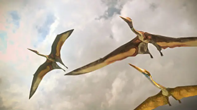 Pterosaurios volando