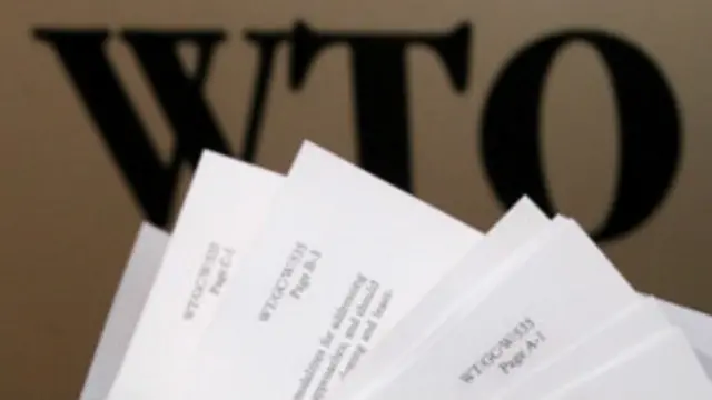 Країни-члени СОТ найбільше обурені додатковим митом України на імпортні авто 