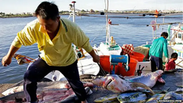 تمثل زعانف القروش مكونا هاما لطبق الحساء في بعض المناطق الصينية