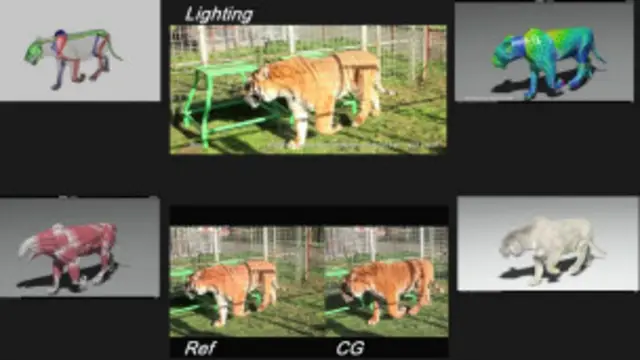 लाइफ़ ऑफ़ पाई के कंप्यूटर ग्राफ़िक्स का काफ़ी काम हैदाराबाद, मुंबई में भी हुआ है