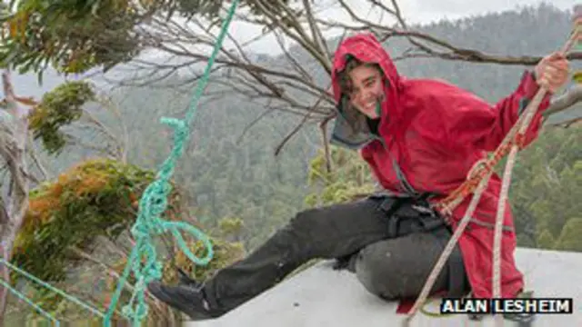 Miranda Gibson sobre el eucalipto en que vivió