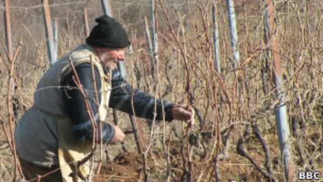 Кахетинский винодел
