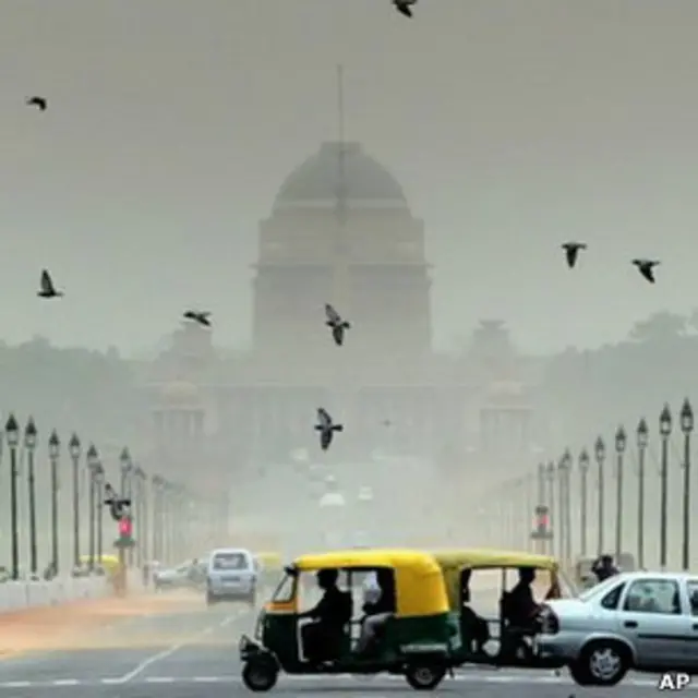 ट्रैफिक, पंछी, पक्षी