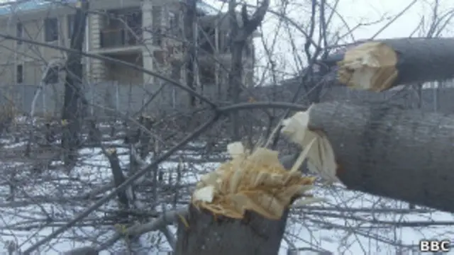Карасайский район вскоре должен войти в состав Алма-Аты, поэтому он считается очень выгодным для финансовых вложений