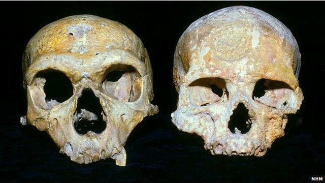 O crânio dos Neandertais (à esq.) tinha órbitas maiores do que as dos humanos modernos (à dir.); consequentemente, usavam mais o cérebro para processar informações visuais