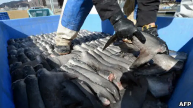 中国下令禁止在官方筵席上出现鱼翅燕窝及野生保护动物肉。