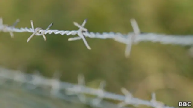 колючая проволока