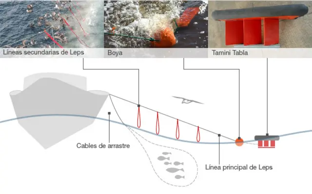 Gráfico explicativo del funcionamiento de la TT