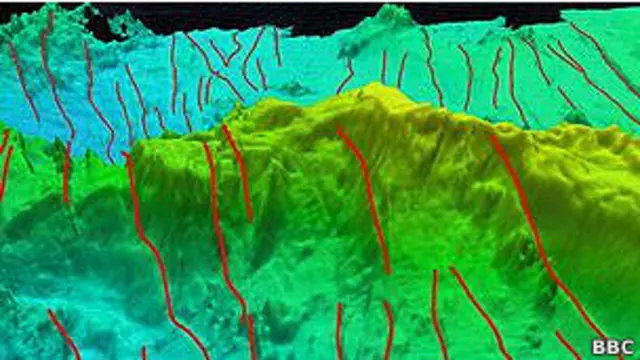 Дно впадины