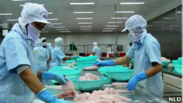 Quyết định của Bộ Thương mại Mỹ sẽ khiến các doanh nghiệp cá tra ở Việt Nam phải đóng thuế cao hơn nhiều lần so với mức hiện tại